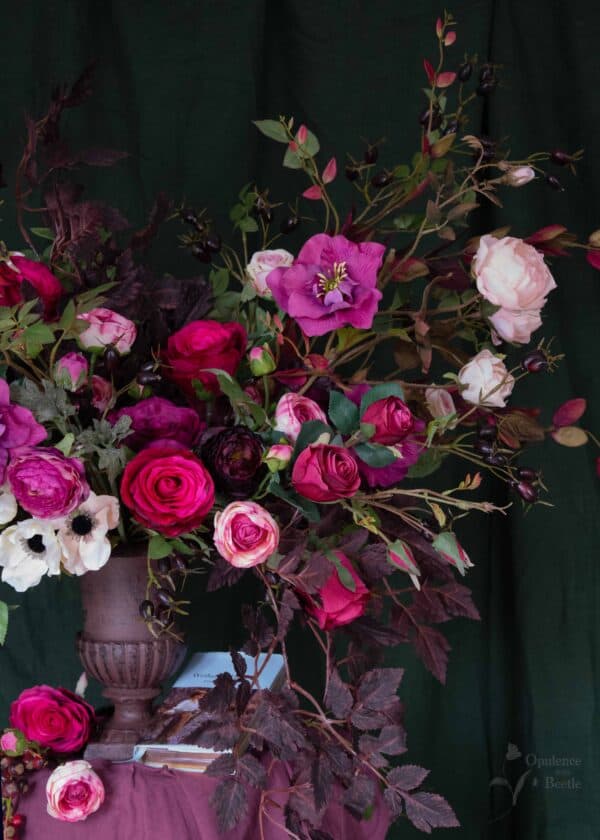 Catherine close up Catherine close up