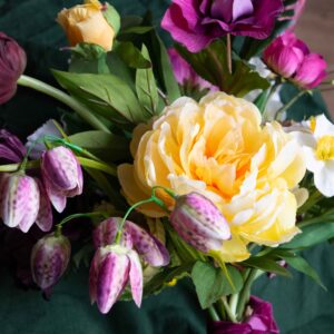 The Delicacy of Spring I