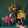 The Jewel Collection I back