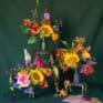 The Jewel Collection I