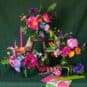 The Jewel Collection II