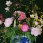 The Delicacy of Spring III close 3