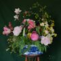 The Delicacy of Spring III back