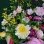 The Delicacy of Spring III close 2