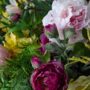 The Delicacy of Spring III close 1