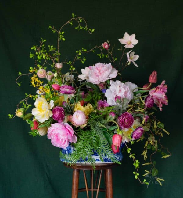 The Delicacy of Spring III
